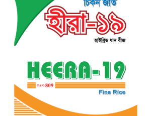 Hybrid Hera Dhan-19