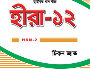 Hybrid Hera Dhan-12