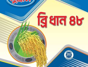ইনব্রিড ব্রি ধান – ৪৮