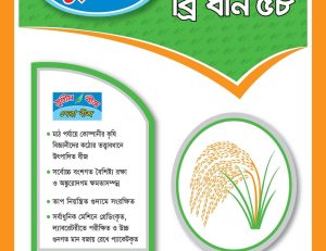 ইনব্রিড ব্রি ধান – ৫৮