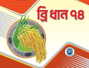 ইনব্রিড ব্রি ধান – ৭৪