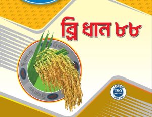 ইনব্রিড ব্রি ধান – ৮৮