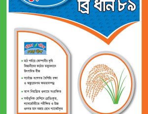 ইনব্রিড ব্রি ধান – ৮৯