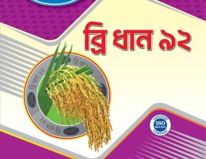 ইনব্রিড ব্রি ধান - ৯২
