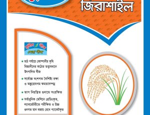 ইনব্রিড ধান - খাটো জিরাশাইল