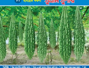 হাইব্রিড করলা - সুপ্রীম সুপার