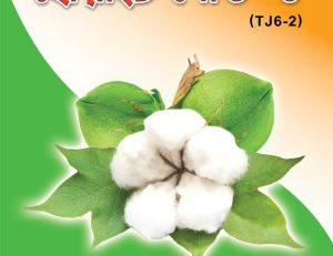 হাইব্রিড তুলা বীজ – হোয়াইট গোল্ড – ১