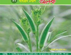 হাইব্রিড ঢেঁড়স - অলক