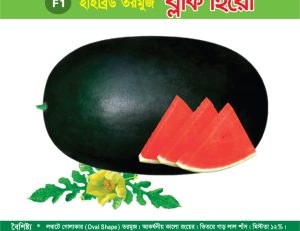 হাইব্রিড তরমুজ - ব্লাক হিরো