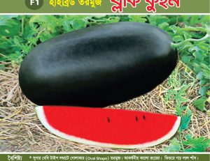 হাইব্রিড তরমুজ - ব্লাক কুইন