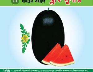 হাইব্রিড তরমুজ - ব্লাক সুগার