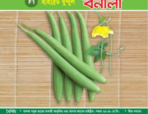 হাইব্রিড ধুন্দুল - বর্নালী