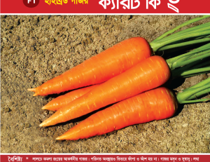 হাইব্রিড গাজর - ক্যারট কিং