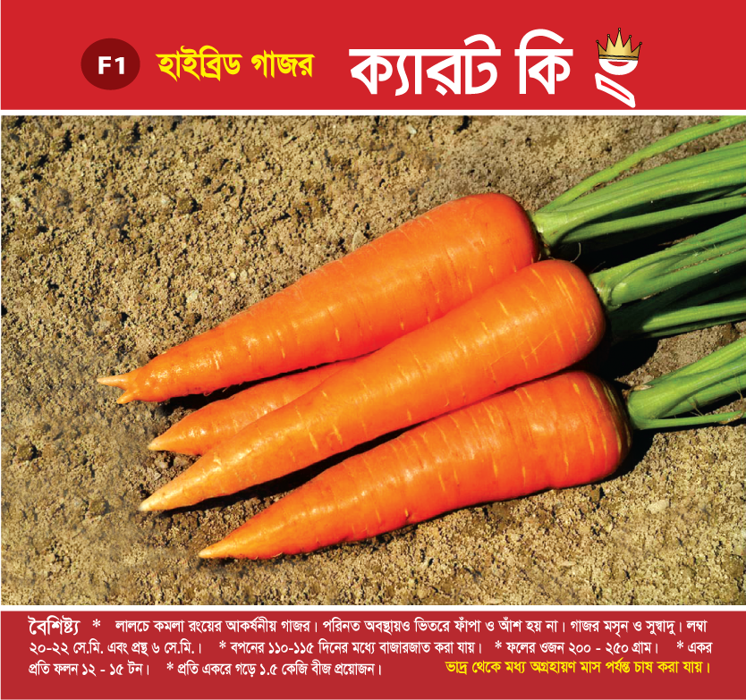 হাইব্রিড গাজর - ক্যারট কিং