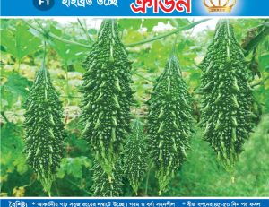 হাইব্রিড উচ্ছে - ক্রাউন
