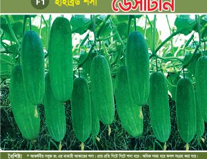 হাইব্রিড শসা - ডেসটিনি