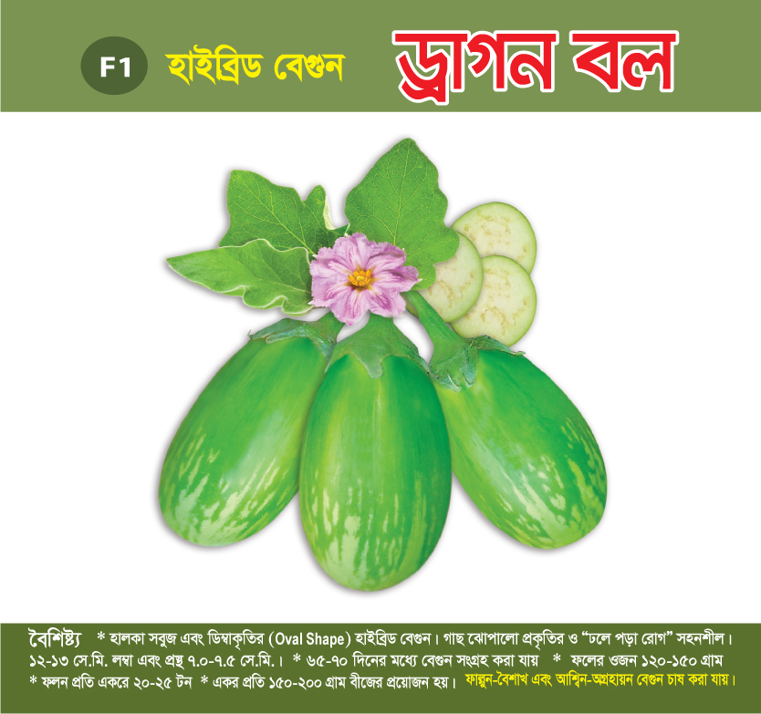 হাইব্রিড বেগুন - ড্রাগন বল