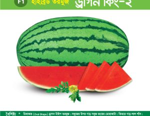 হাইব্রিড তরমুজ - ড্রাগন কিং-২