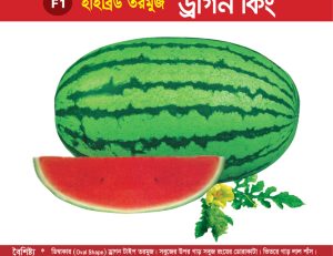 হাইব্রিড তরমুজ - ড্রাগন কিং