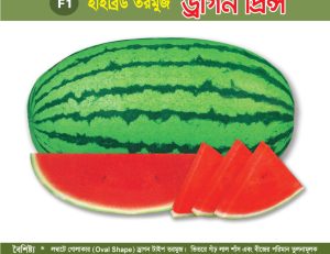 হাইব্রিড তরমুজ - ড্রাগন প্রিন্স