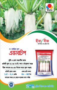 হাইব্রিড মুলা - এভারটপ