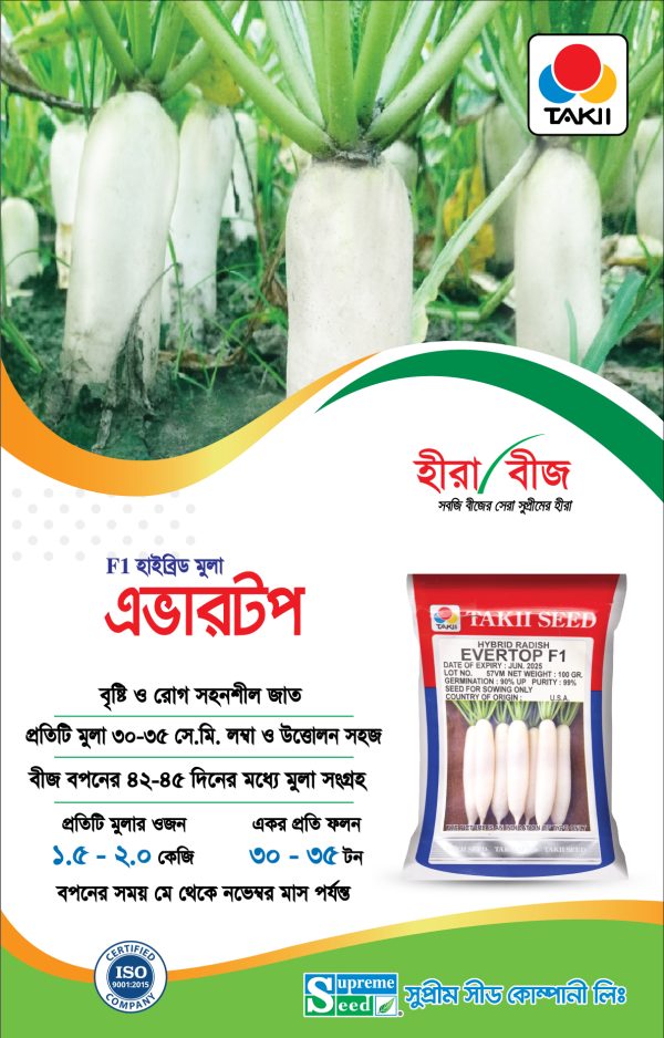 হাইব্রিড মুলা - এভারটপ