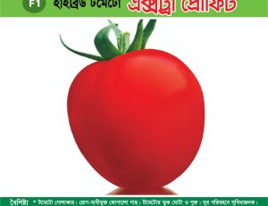 হাইব্রিড টমেটো - এক্সট্রা প্রোফিট