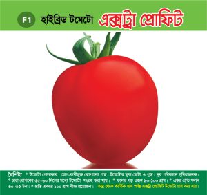 হাইব্রিড টমেটো - এক্সট্রা প্রোফিট