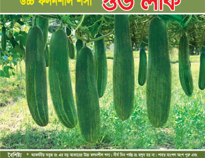 উচ্চ ফলনশীল শসা - গুড লাক