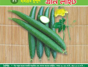 হাইব্রিড ধুন্দুল - গ্রীন লাইট
