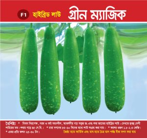 হাইব্রিড লাউ - গ্রীন ম্যাজিক