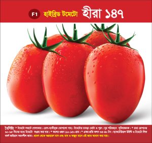 হাইব্রিড টমেটো - হীরা ১৪৭