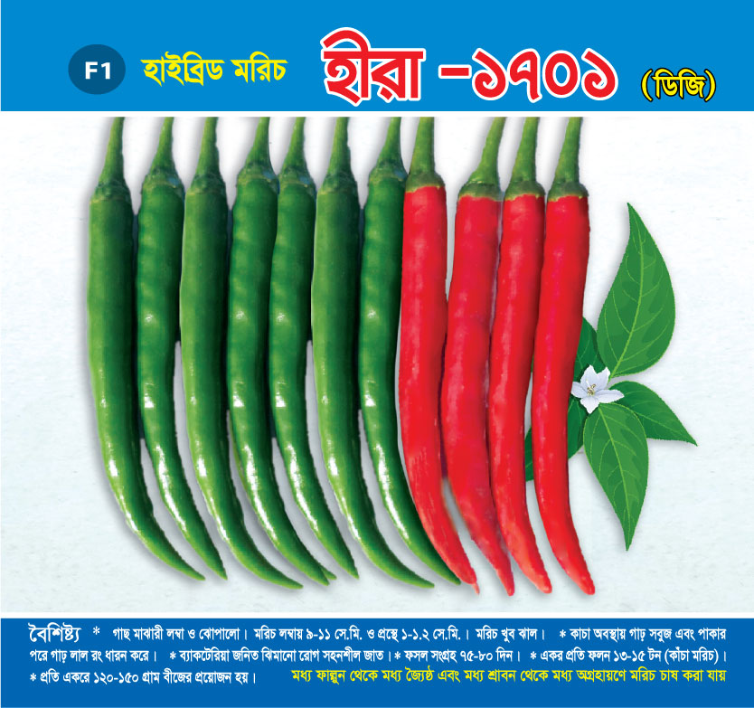 হাইব্রিড মরিচ - হীরা -১৭০১ ডিজি