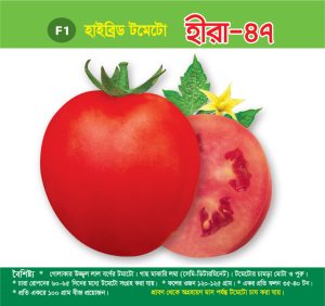 হাইব্রিড টমেটো - হীরা-৪৭