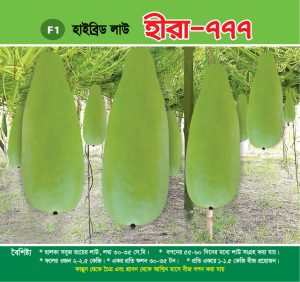 হাইব্রিড লাউ - হীরা-৭৭৭
