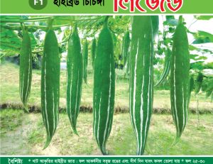 হাইব্রিড চিচিঙ্গা - লিজেন্ড