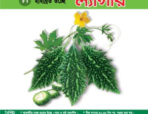হাইব্রিড উচ্ছে - ল্যান্সার
