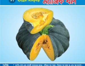 হাইব্রিড মিষ্টিকুমড়া - ম্যাজিক বল