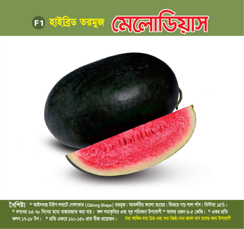 হাইব্রিড তরমুজ - মেলোডিয়াস