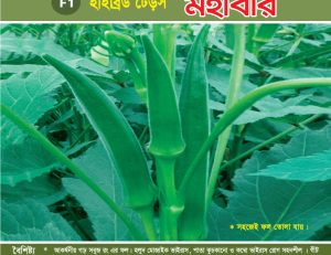 হাইব্রিড ঢেঁড়স - মহাবীর