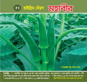 হাইব্রিড ঢেঁড়স - মহাবীর