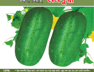 উফশী খিরাই - মনপুরা