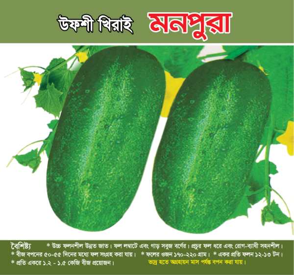 উফশী খিরাই - মনপুরা