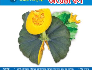 হাইব্রিড মিষ্টিকুমড়া - অরেঞ্জ বল