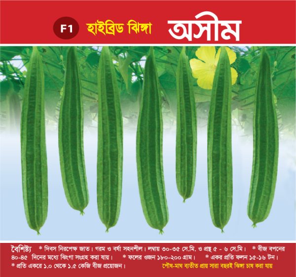 হাইব্রিড ঝিঙ্গা - অসীম
