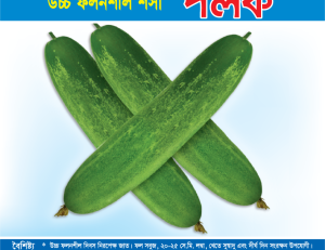 উচ্চ ফলনশীল শসা - পলক