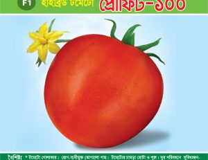 হাইব্রিড টমেটো - প্রোফিট-১০০