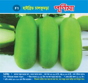 হাইব্রিড চালকুমড়া - পূর্ণিমা