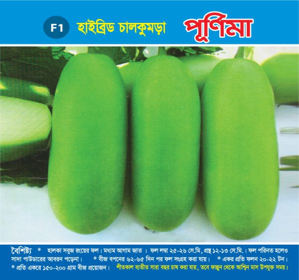 হাইব্রিড চালকুমড়া - পূর্ণিমা
