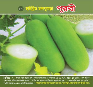 হাইব্রিড চালকুমড়া - পূরবী